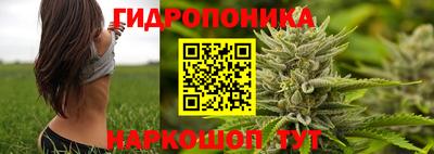стаф Абакан