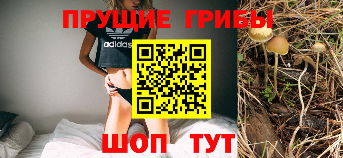 Галлюциногенные грибы GOLDEN TEACHER  Вход с VPN  Нягань 