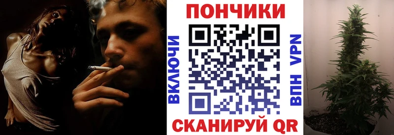 Бошки Шишки Amnesia Нягань
