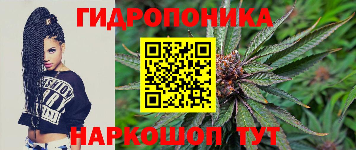Шишки марихуана планчик Нягань